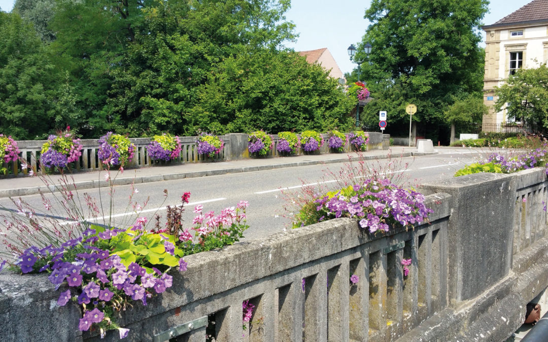 Une Deuxième Fleur pour Altkirch !