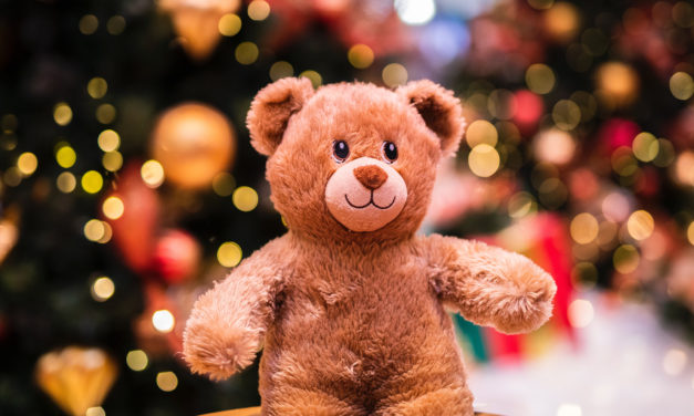 > Du 6 au 10 novembre : Grande vente de décorations/Jouets de Noël et bazar