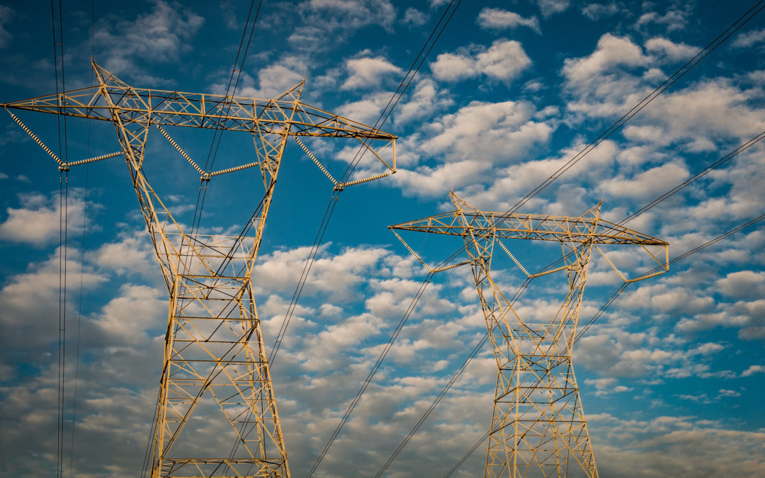 Entretien des lignes électriques du 1er Février au 31 décembre 2020