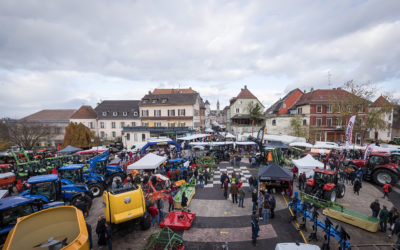 > JE 19 NOVEMBRE : Foire Sainte-Catherine 2026