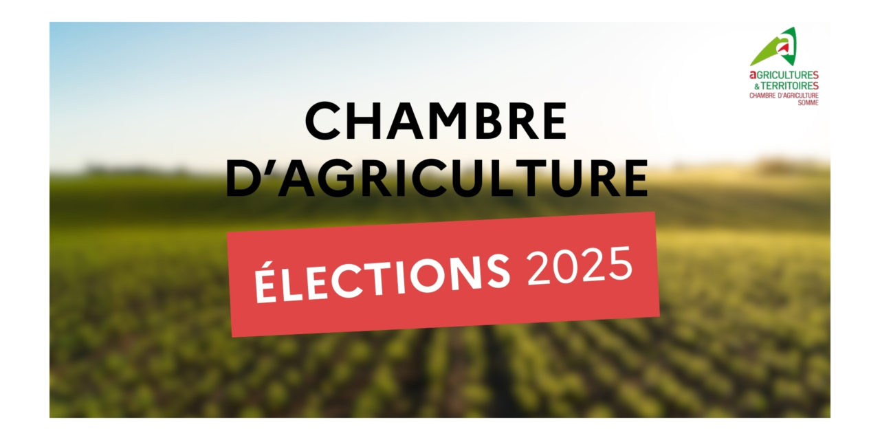 Elections chambre agriculture d’Alsace – Procédures