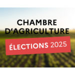 Elections chambre agriculture d’Alsace – Procédures