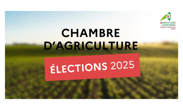 Elections chambre agriculture d’Alsace – Procédures