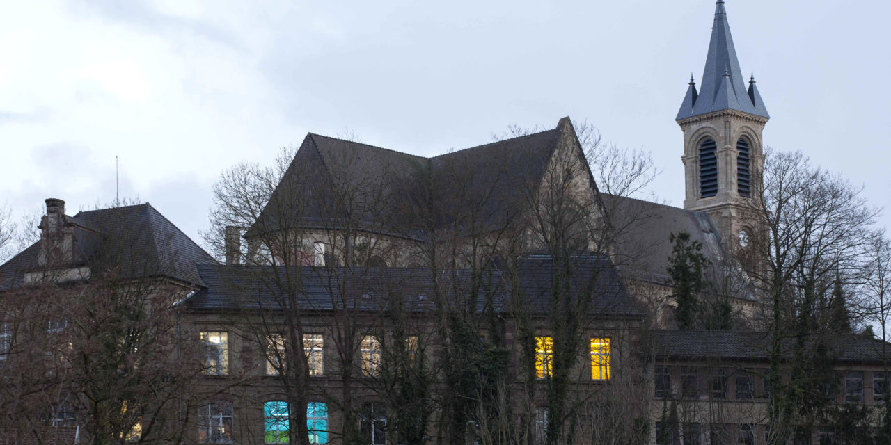 > DU 19 JUIN AU 21 SEPTEMBRE 2025 : Exposition collective « Pellicule de Sauvagerie » – CRAC Alsace