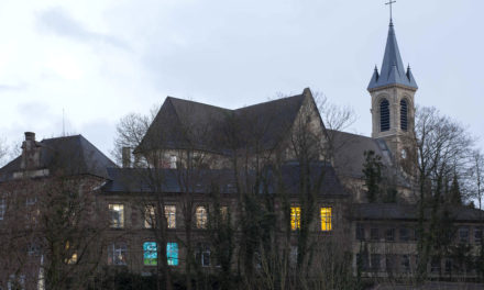 > DU 19 JUIN AU 21 SEPTEMBRE 2025 : Exposition collective « Pellicule de Sauvagerie » – CRAC Alsace