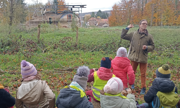 Les élèves de l’école Les Tuileries plongent dans l’histoire locale