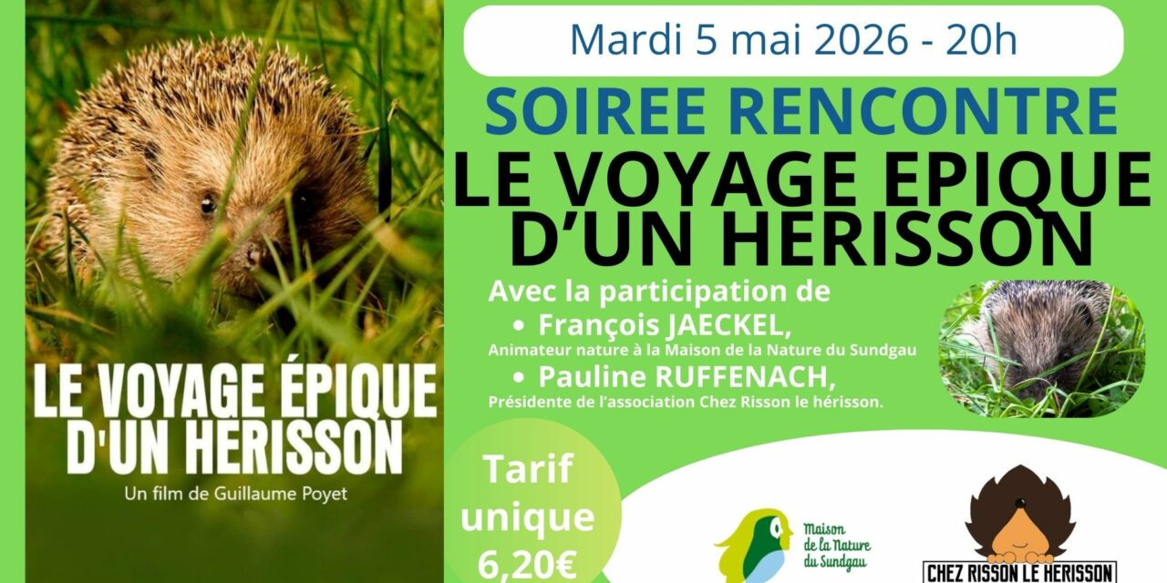 > MAR 5 MAI : SOIRÉE RENCONTRE – CINÉMA ALTKIRCH