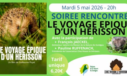 > MAR 5 MAI : SOIRÉE RENCONTRE – CINÉMA ALTKIRCH